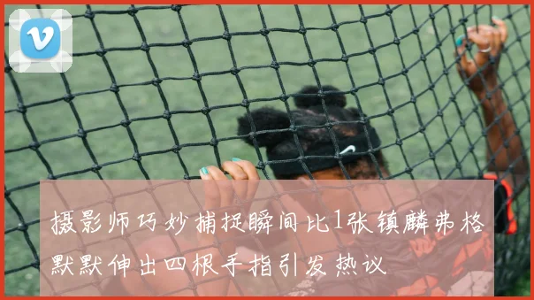 摄影师巧妙捕捉瞬间比1张镇麟弗格默默伸出四根手指引发热议