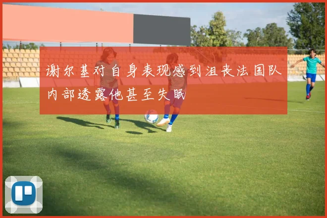 谢尔基对自身表现感到沮丧法国队内部透露他甚至失眠